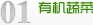 沈荡镇
